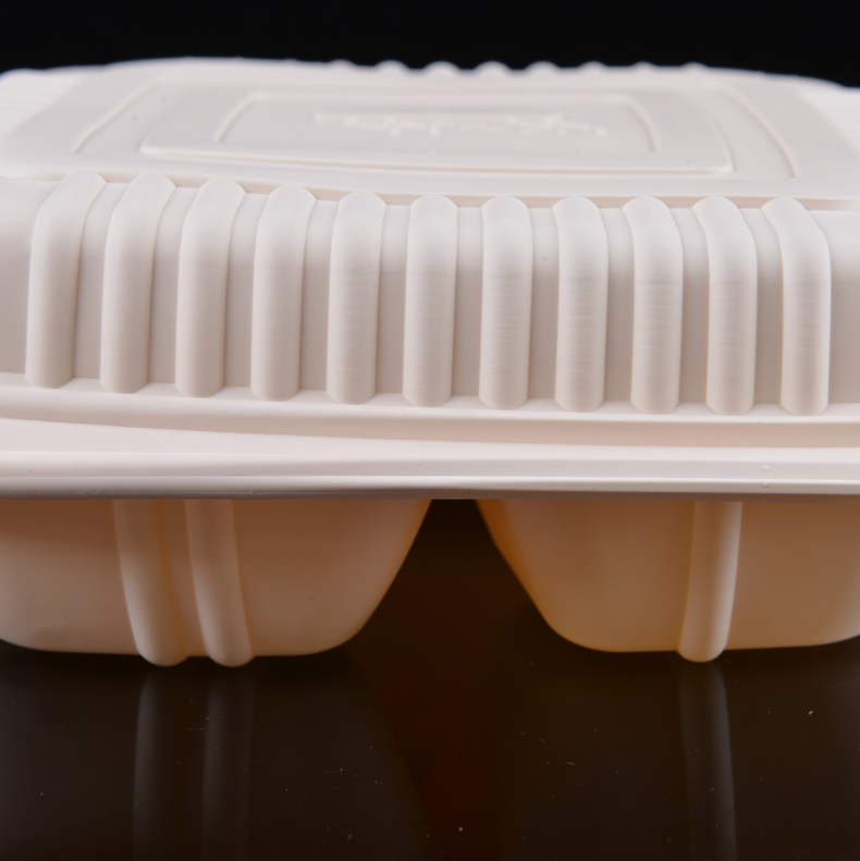 Caja para llevar disponible biodegradable del almuerzo del 100% con 2 compartimentos